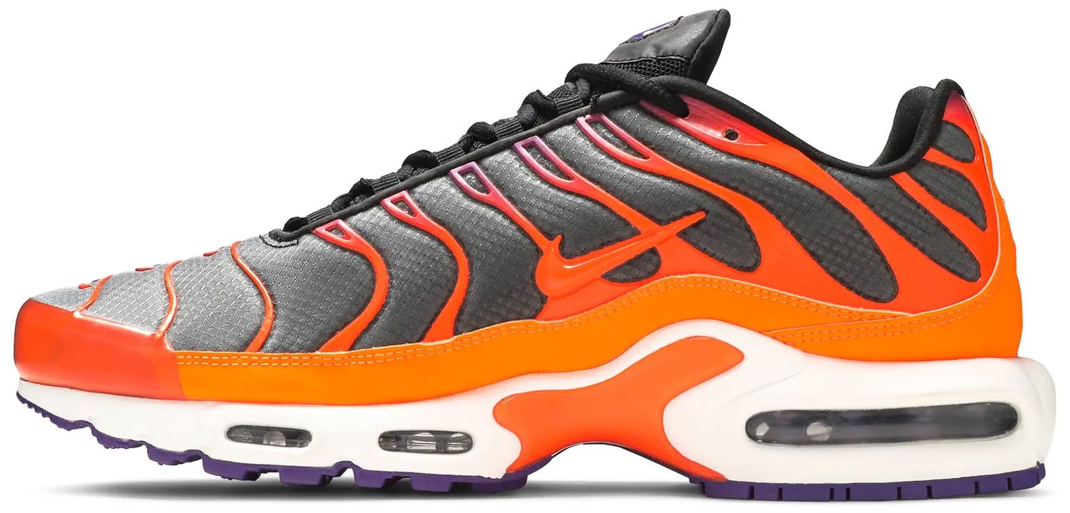 Air Max Plus TN 'Colour Flip - Dark'