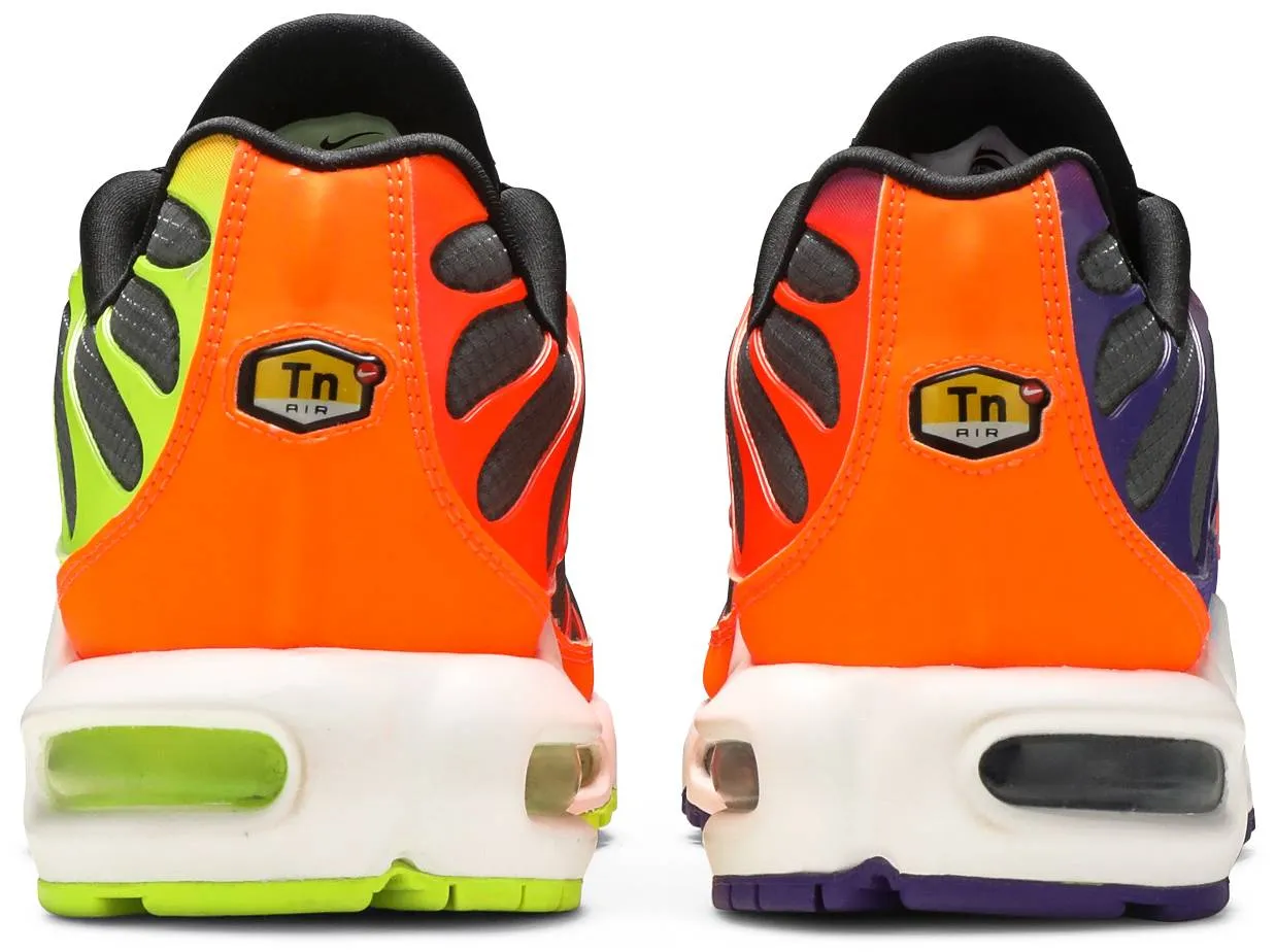 Air Max Plus TN 'Colour Flip - Dark'